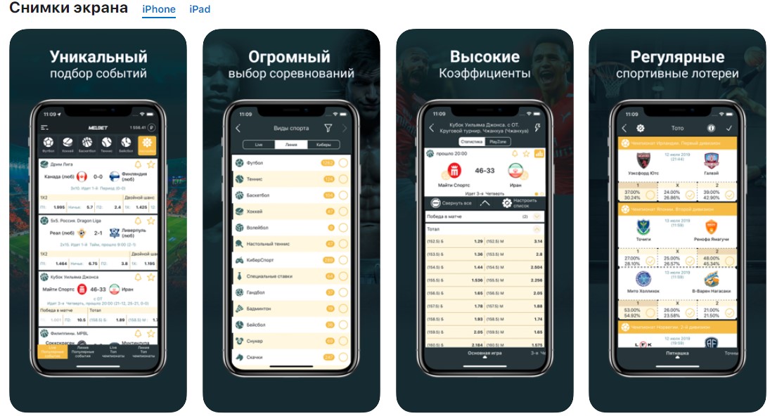 Внешний вид и функционал приложения для Iphone