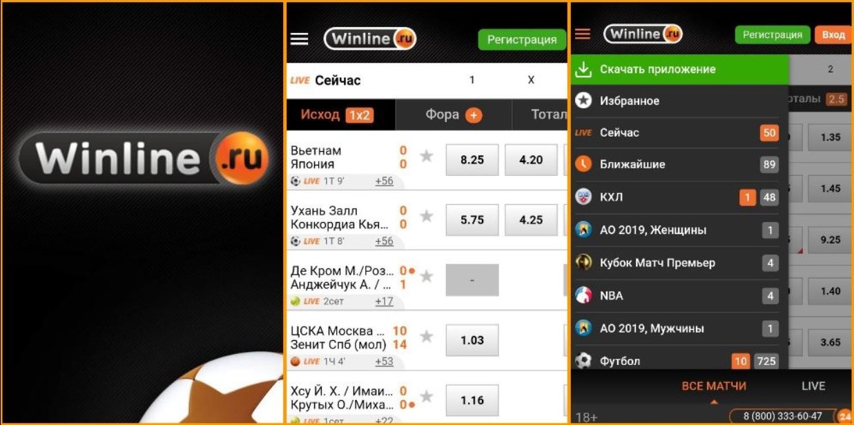 Функционал приложения Win line для iOS